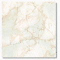 glazed floor tile F1005