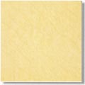 golden beige tile