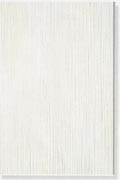 ceramic wall tiles