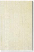 shower wall tile