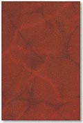 red ceramic tile