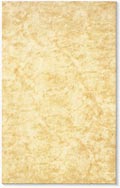 orange ceramic tile