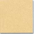 golden beige tile