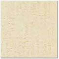 polished porcelain tile