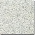 20 x 20 porcelain tile