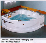 computer control bathtub