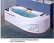 computer-controlled massage bathtub