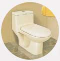 Japanese style toilet